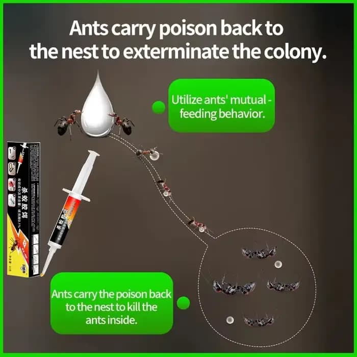 Appât anti-fourmis, lutte efficace contre les parasites et élimination des colonies de fourmis