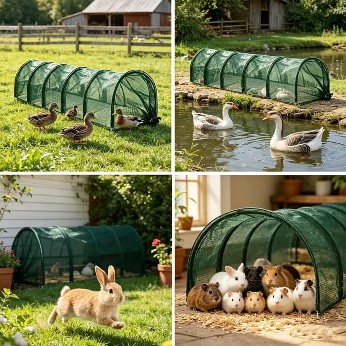 Serre tunnel de jardin portable pour poulets