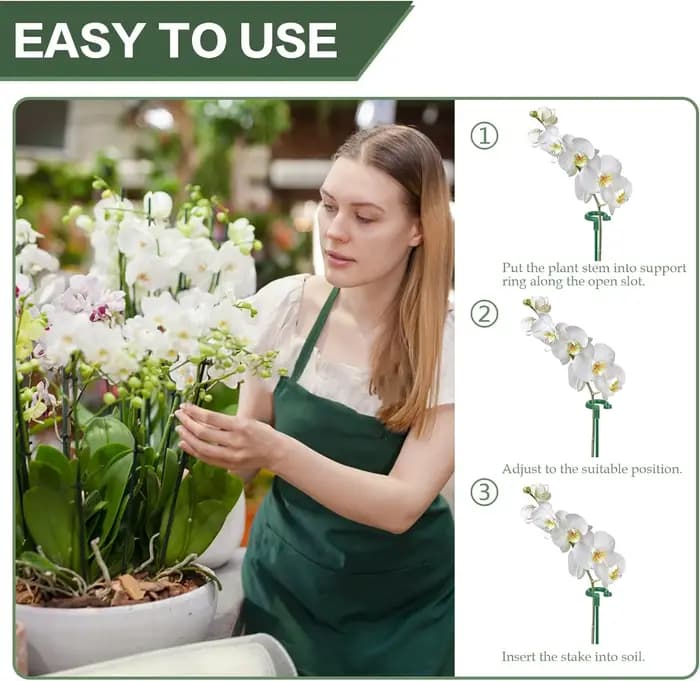 Supports pour plantes, papillons, orchidées, fleurs, tiges de fixation en pot, réutilisables, Protec