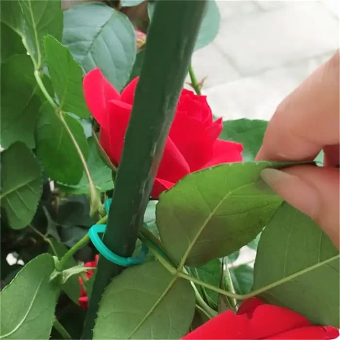 Clips pour plantes de jardin en forme de papillon vert, pince à boucle à levier M, paquet de 100