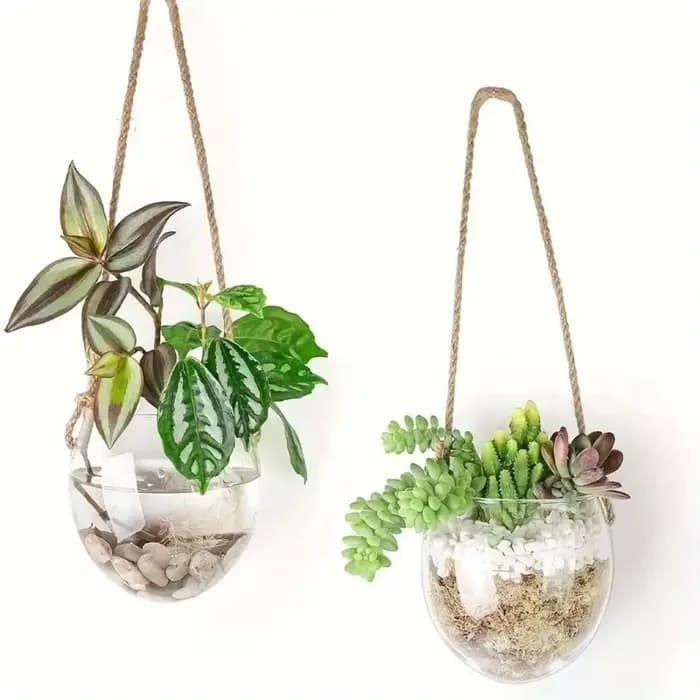 Vase suspendu hydroponique transparent en verre