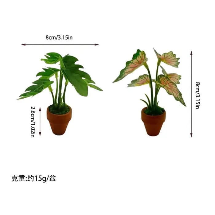 Mini plantes en pot vertes à dos de tortue Taro