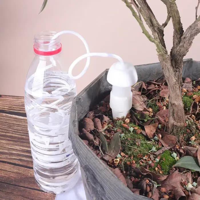 2 Piques d'arrosage automatiques en céramique pour plantes en pot, intérieur/extérieur, dispositif d
