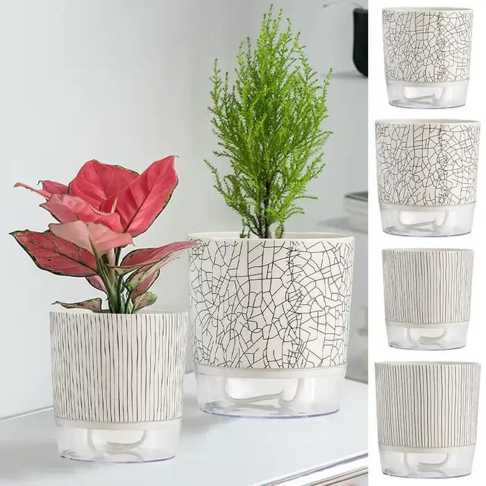 Pot de Fleurs Hydroponique existent avec Corde en Coton