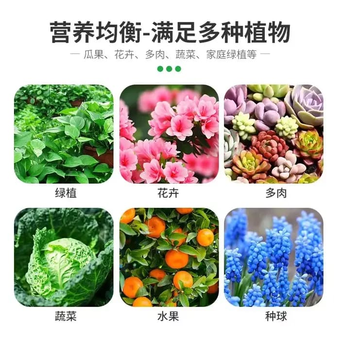 Fertilisateur De fleurs poudre d'os spéciale organique inodore universel Pour Une grande gamme De Plantes Pour favoriser La Nutrition