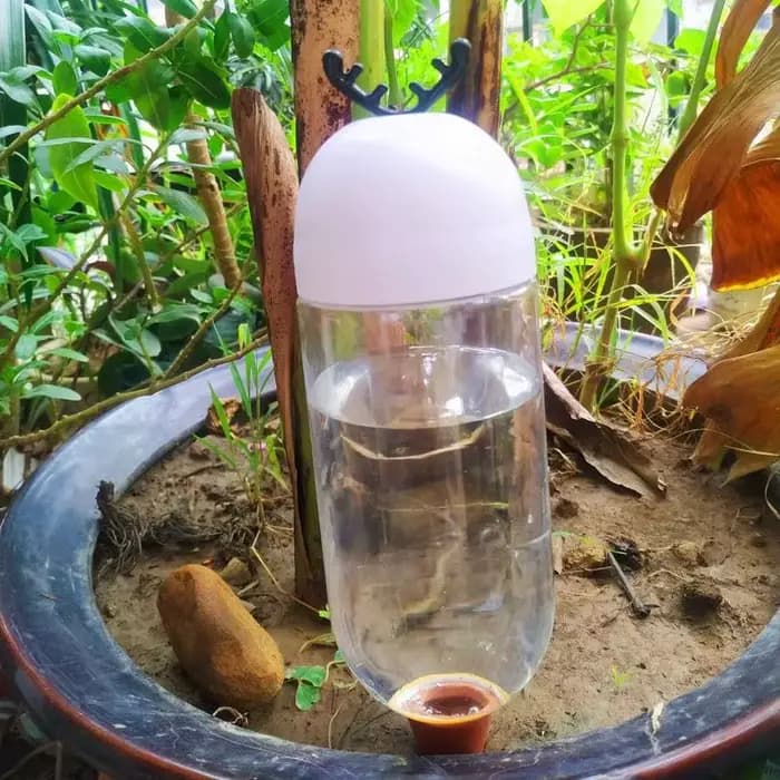 Outil d'arrosage automatique de jardin, système d'irrigation goutte à goutte d'intérieur, arroseurs