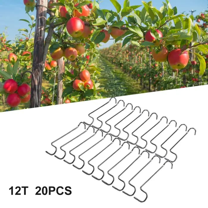 Support de Branches d'arbre fruitier, Support de plantes, épandeur de Branches de fruits, cadre de S