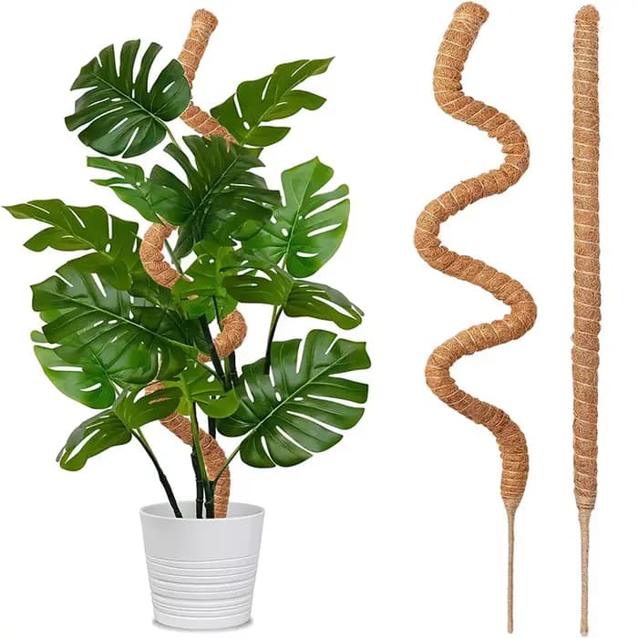 Plantes pliables Support d'escalade plante mousse coir pôle bas Support d'escalade déformé cocotier