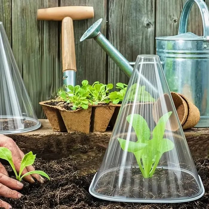 Couverture de protection pour semis de légumes