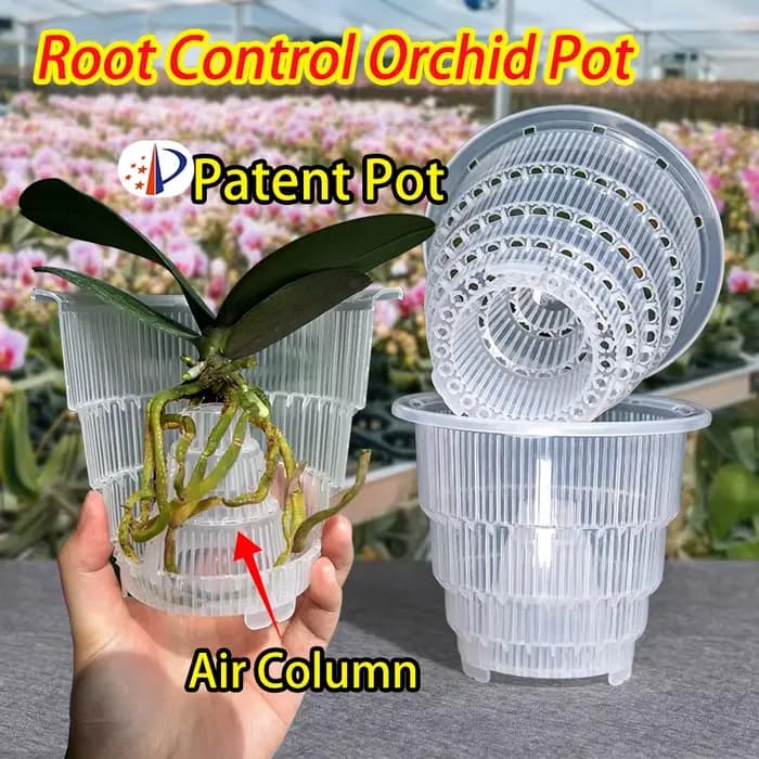 Pot en maille pour décoration de la maison, Pots d'orchidées transparents avec trous, Pot de plantes