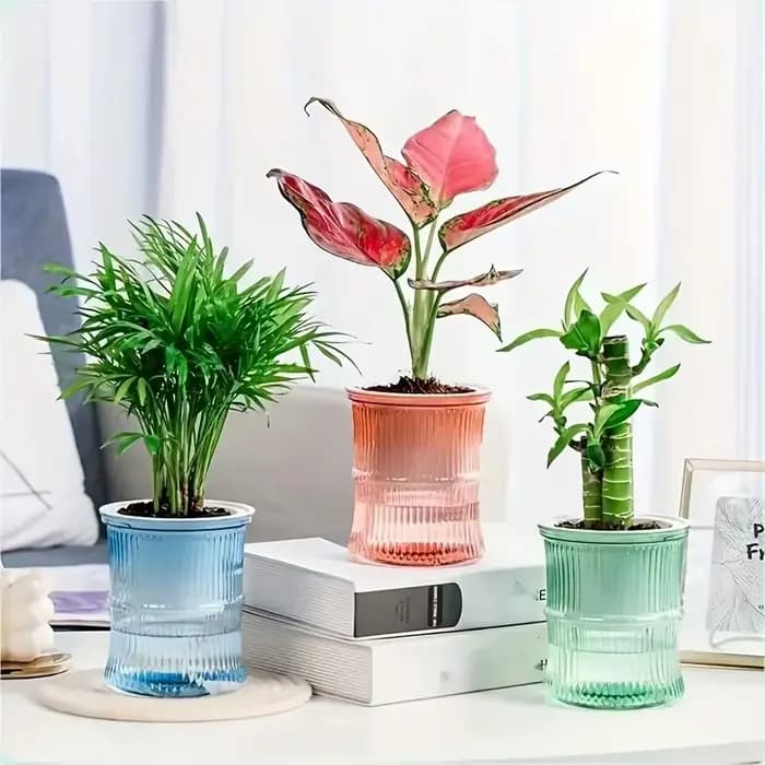 Pot de fleurs hydroponique paresseux à auto-arrosage pour culture en terre