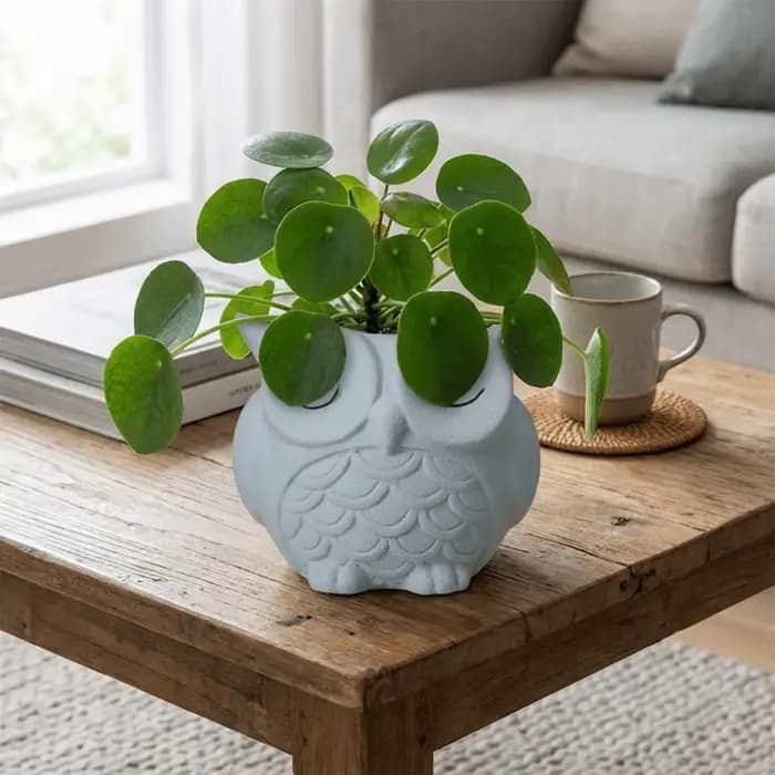 Pot à plantes unique en céramique en forme de hibou
