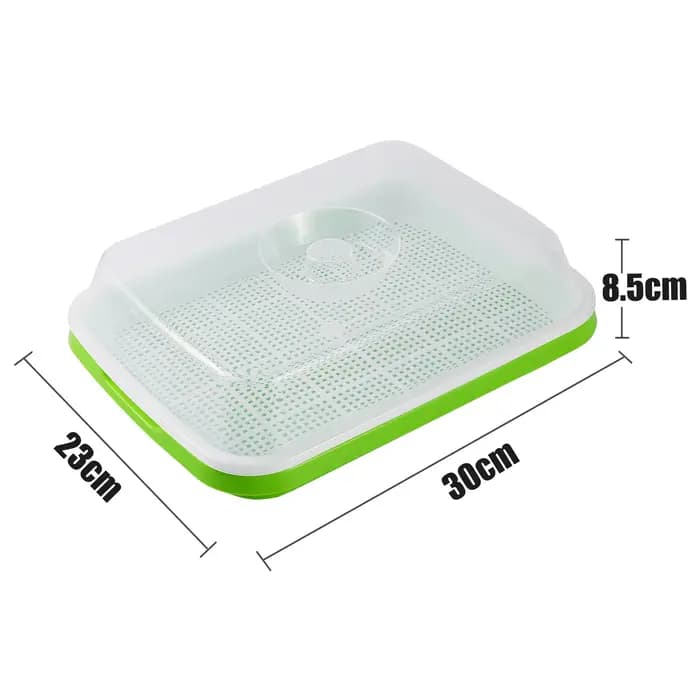 Plateau de germination