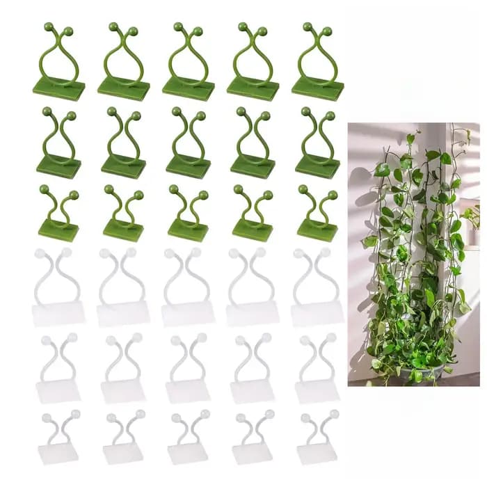 10/20 pièces Clips de montage mural d'escalade de plantes crochets de boucle de vigne auto-adhésifs