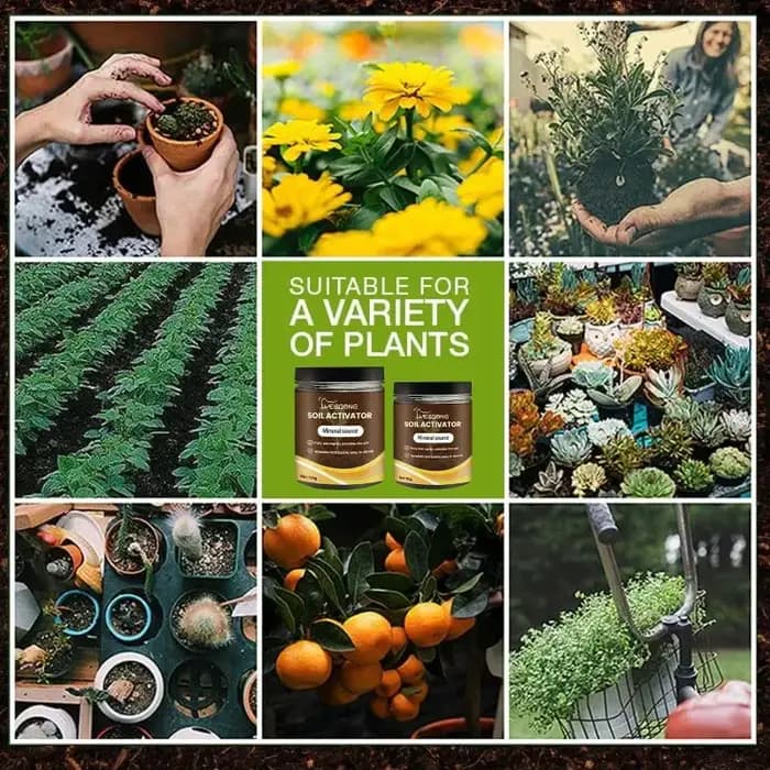 Activateur de sol, engrais pour plantes, nutriment organique pour la germination des graines, croissance des racines, essentiel pour le jardinage, pour les plantes d'intérieur et d'extérieur