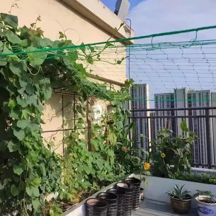 Filet de jardin en nylon vert, treillis pour plantes grimpantes, filet à mailles rapide pour concomb