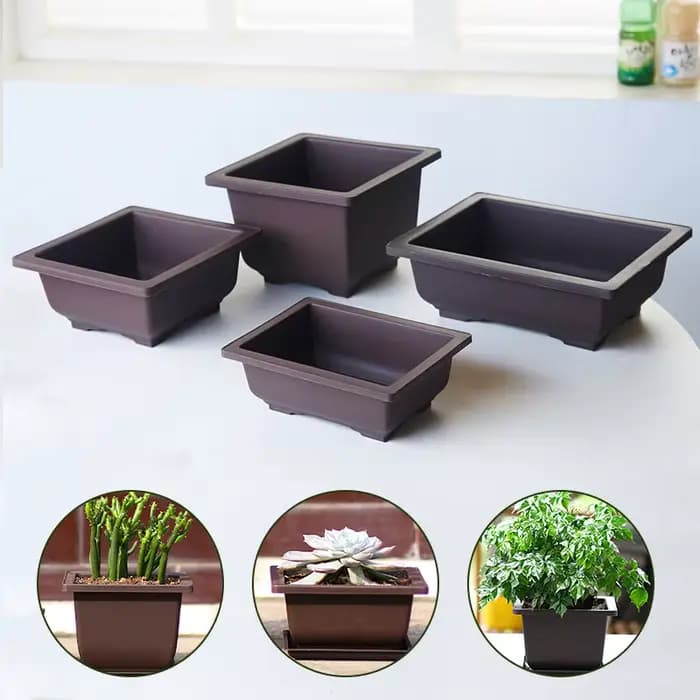 Pots de fleurs rectangulaires Imitation argile violette bonsaï