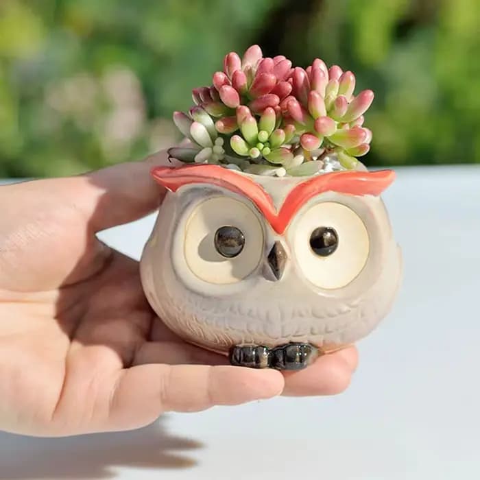 Pot de fleur hibou en céramique, décoration de jardin et de bureau, Mini pot de fleurs succulentes,