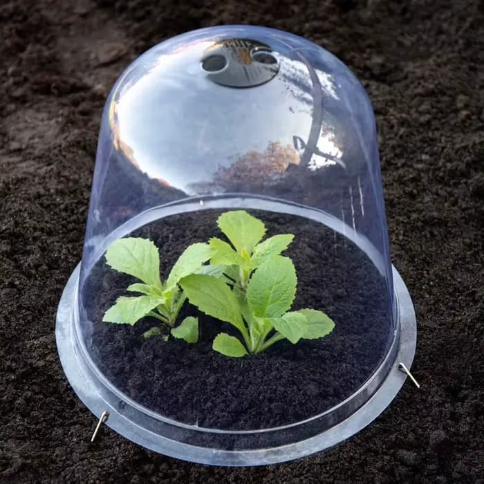 Couverture réutilisable en plastique pour plantes de jardin, couverture de cloche pour serre, protec