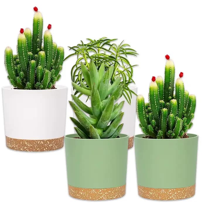 Pot de fleurs, lot de 2 jardinières pour plantes d'intérieur avec trous de drainage et soucoupe, pot