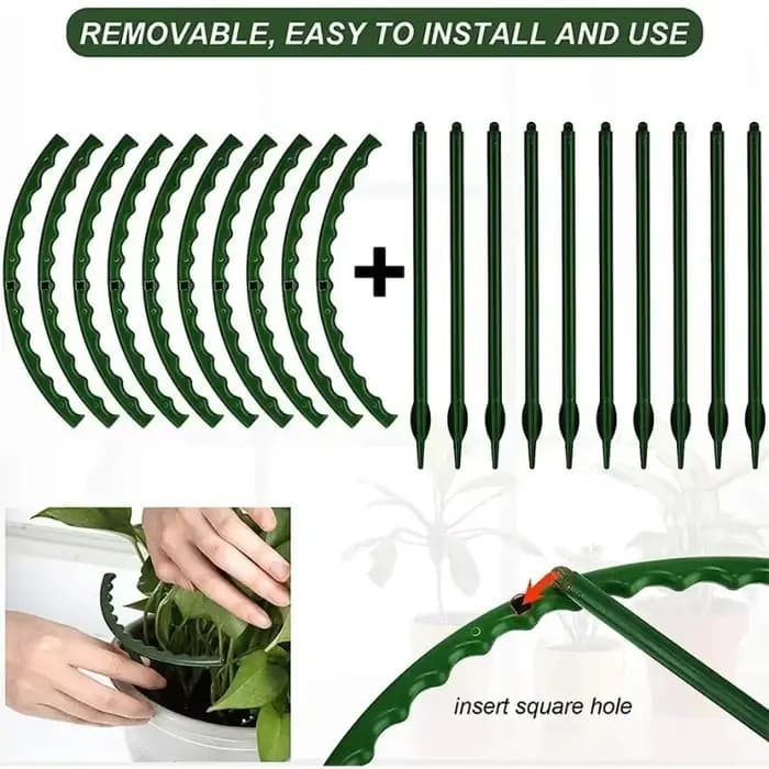 Anneau de Support pour plantes en plastique, Support de jardin pour verger, Support de Pile pour arr