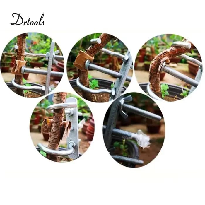 Outils de bonsaï, modulateur de branches d'arbres