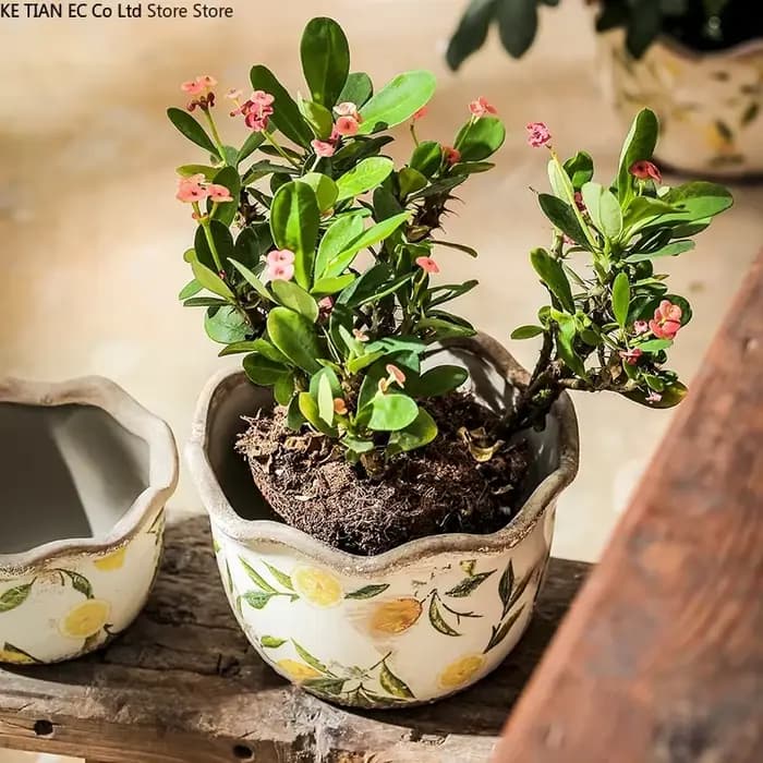 Pot de fleur en céramique en forme de citron Pot succulent Vintage Pot de plante