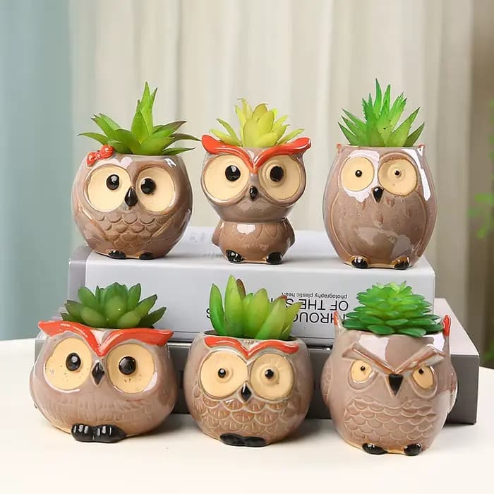 Jolie jardinière en céramique en forme de hibou pour plantes succulentes