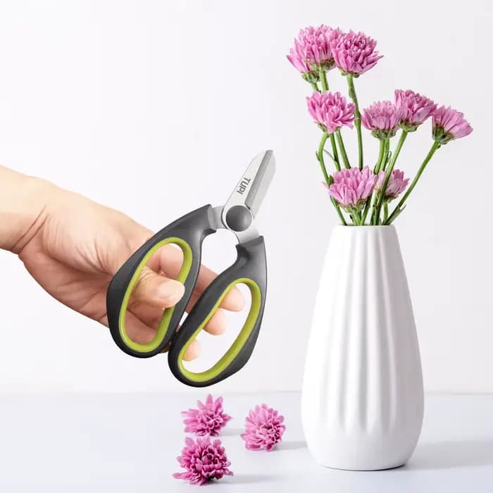 Ciseaux de jardinage, cisailles de fleuriste pour plantes et fleurs