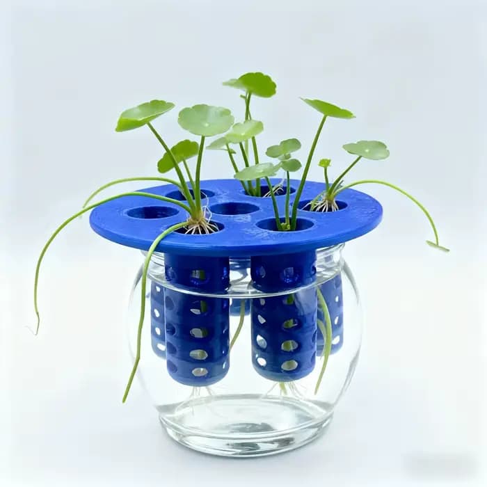Lot de 2 pots de pépinière de jardin à 7 trous pour ail et oignon