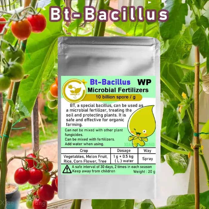 Agent microbien Bt-Bacillus, 20g, engrais pour l'agriculture organique, légumes et cultures, protège