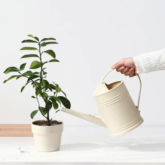 Arrosoir en plastique de grande capacité pour plantes d'intérieur, 2l, Pot à longue bouche pour plantes de jardin, pulvérisation de fleurs, bouilloire d'eau