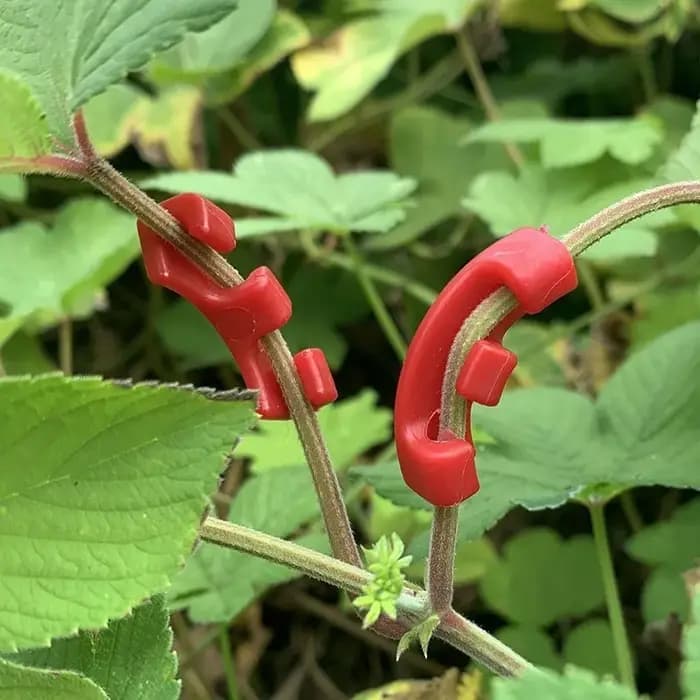 Outil de pliage de branches de bonsaï, crochet de formation pour plantes, pince pour façonner et plier les branches, kit d'outils de formation pour jardinage