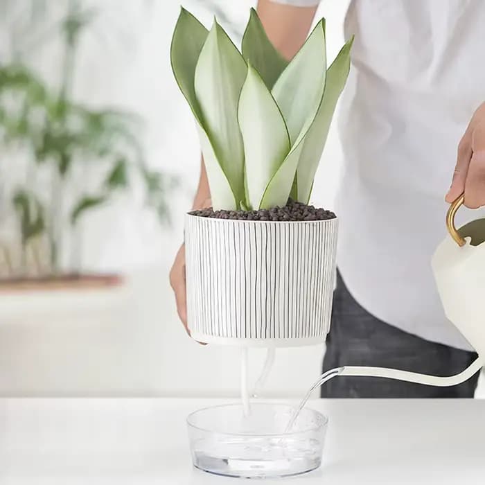Pot de Fleurs Hydroponique existent avec Corde en Coton