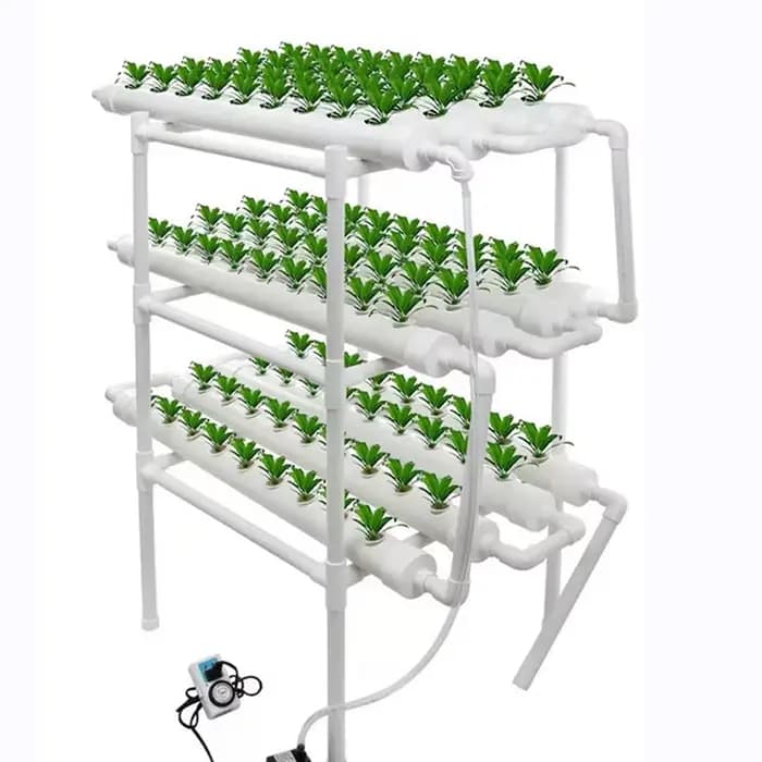 Équipement de culture sans sol pour jardin, système hydroponique, famille de chatons de croissance,