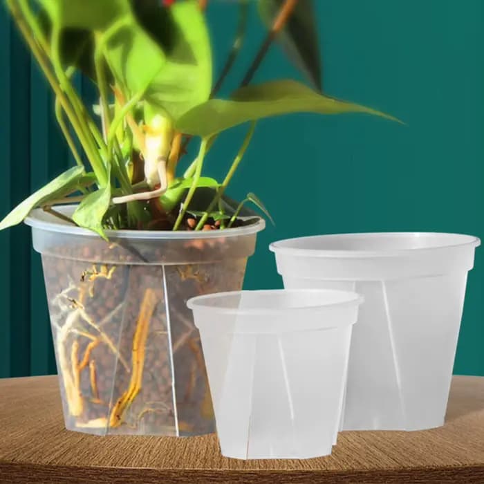 Pots d'orchidées en plastique transparent avec trous