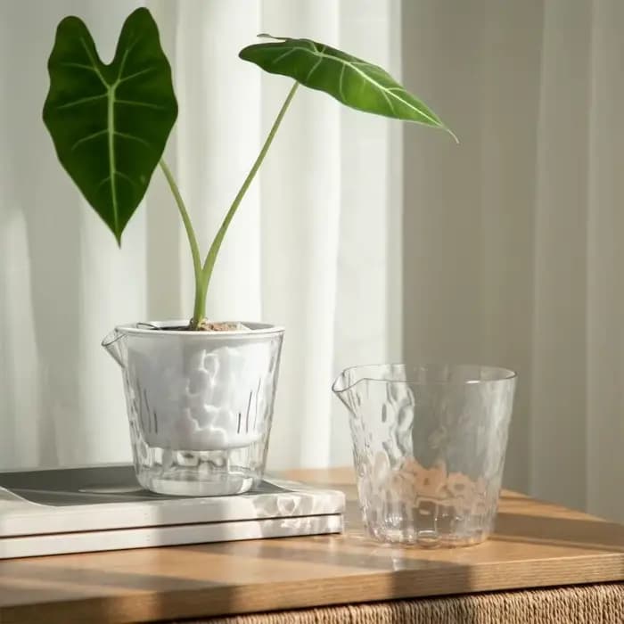 Paquet 6 porte-fleurs en plastique avec fonction d'arrosage automatique pour fleurs petits buissons d'intérieur B03E