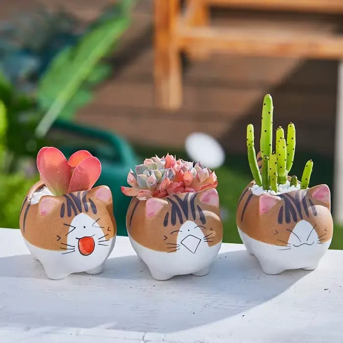 Pot de fleur en céramique pour bonsaï