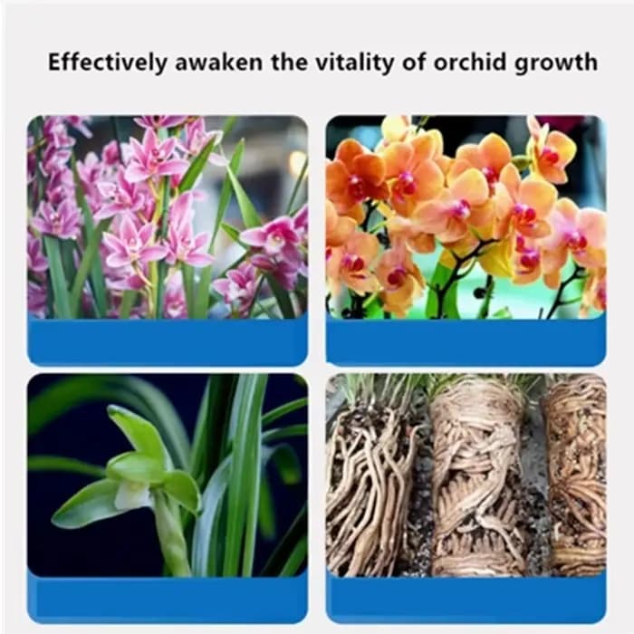 80g/200g Engrais à libération contrôlée spécifique aux orchidées : formule