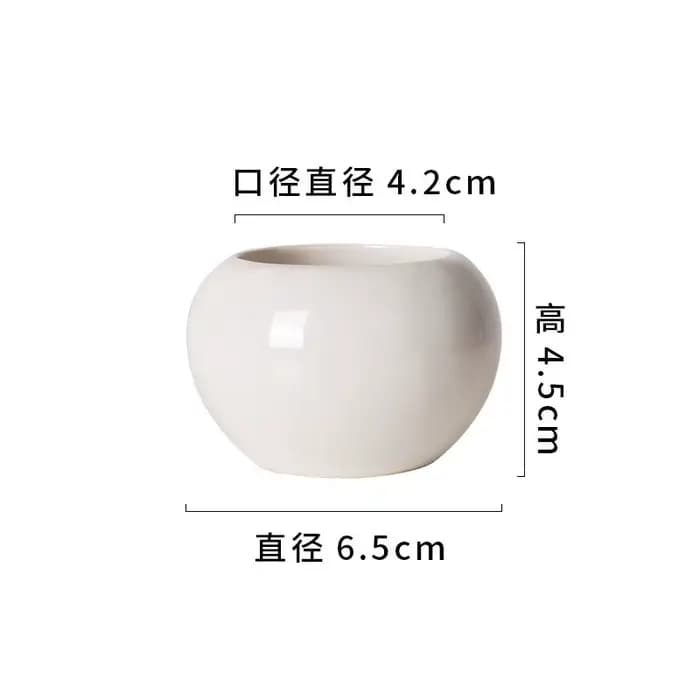 Petit pot rond en céramique pour plantes succulentes, décoration d'intérieur, mini pot pour plantes