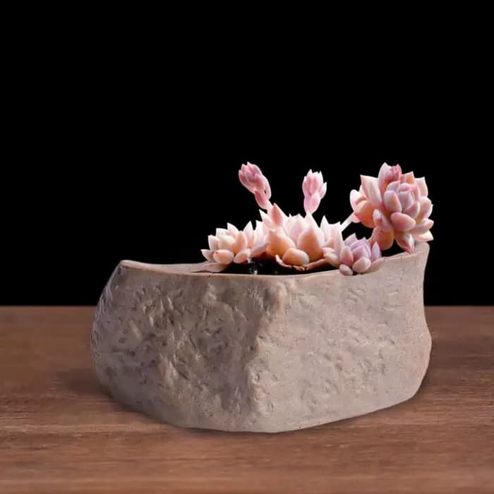 Pots de plantes succulentes en céramique en forme de pierre