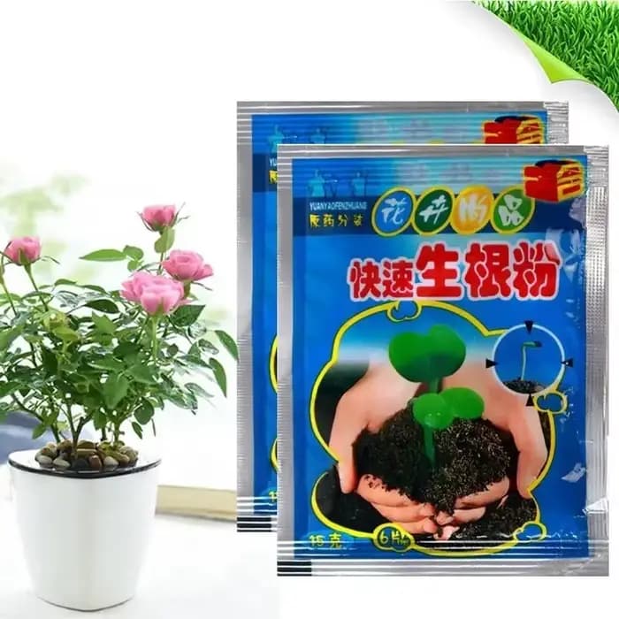 Poudre d'enracinement rapide pour plantes, 5 pièces, Agent d'enracinement rapide, Hormone, croissanc