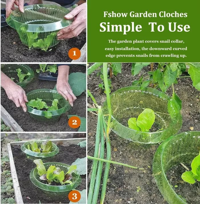 Anneaux de Protection des limaces pour plantes, jardinière verte, Pot de fleur, escargot, légumes, c