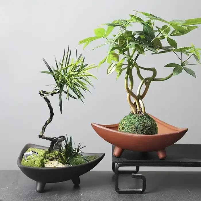 Pots de fleurs en céramique personnalisés pour bambou