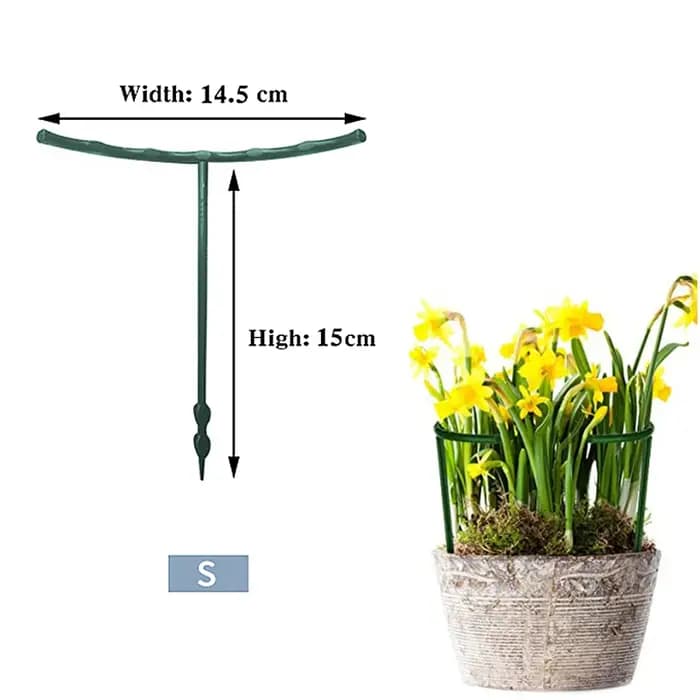 Cage de Support pour plantes de jardin