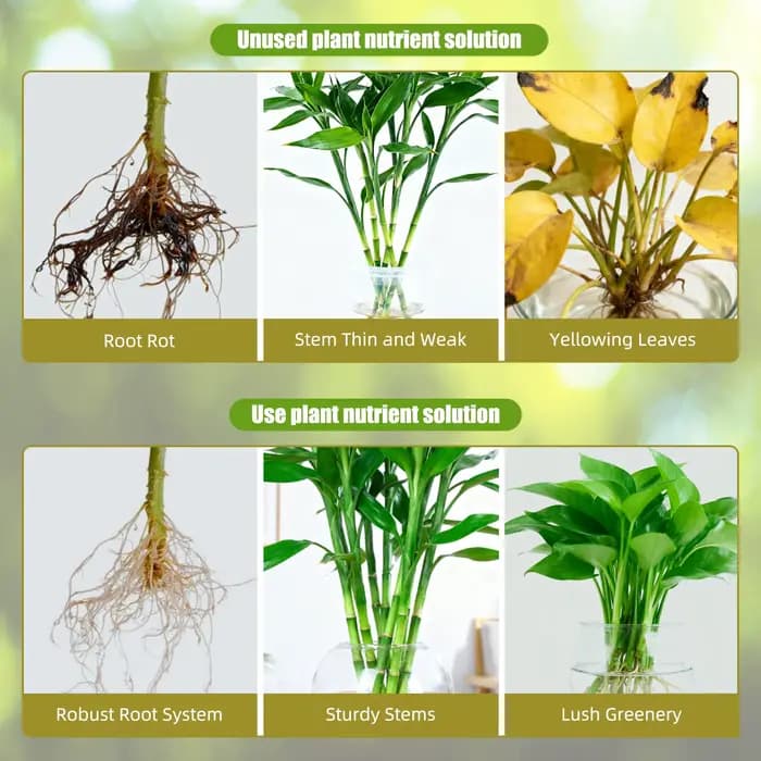 Yieryi 250ML Solution nutritive hydroponique AB engrais liquide croissance rapide scène plante alimentaire pour jardin intérieur herbes légumes