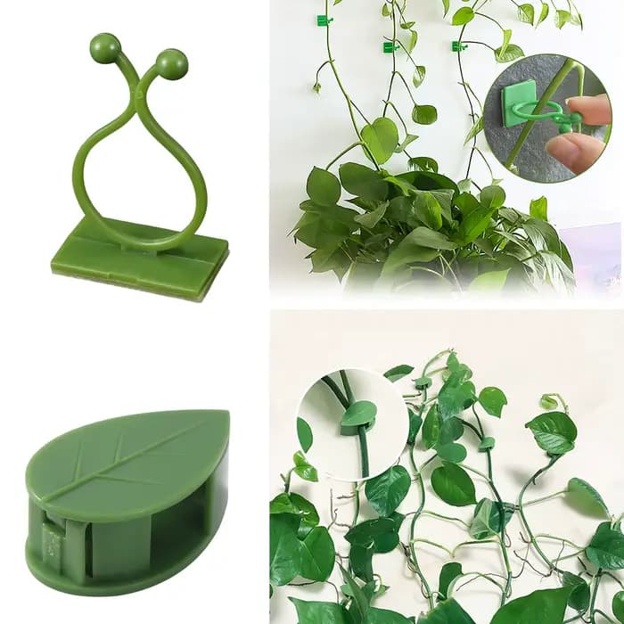 Fixation Auto-Adhésive Invisible pour Plantes Grimpantes, Support de Traction à réinitialisation, Ro