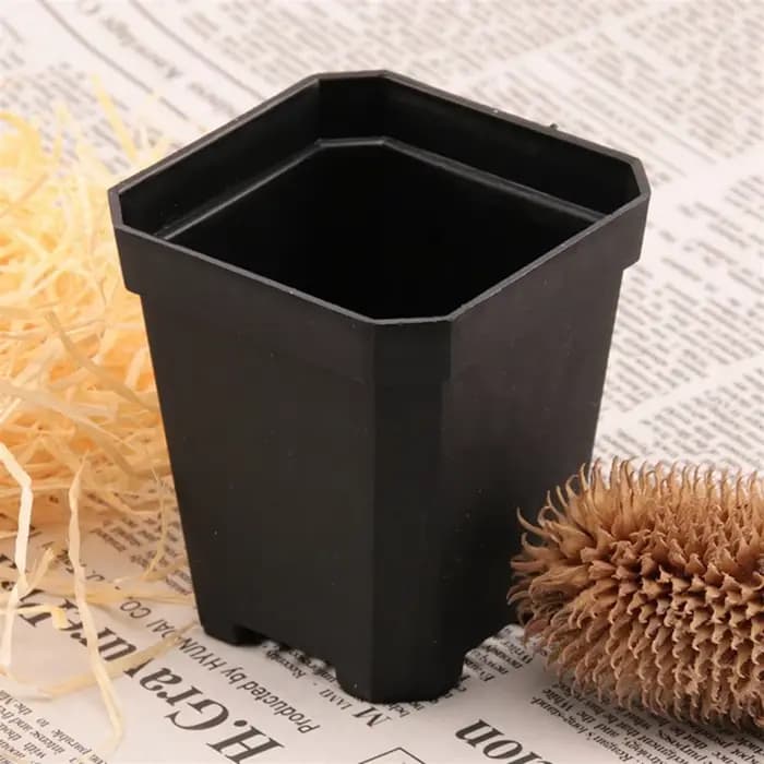 Petit pot de fleur de poulet carré noir