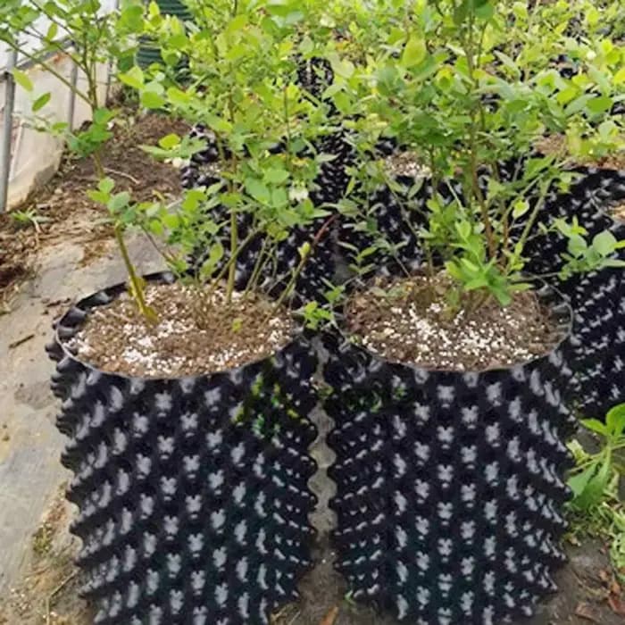 1 ensemble de soucoupes durables et rapides à installer pour pots de plantes