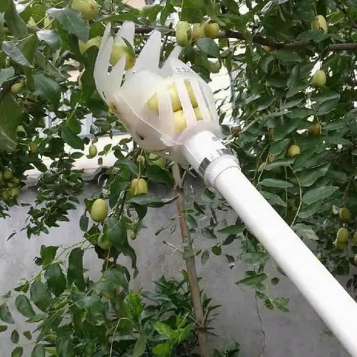 1 pièce Outil de cueillette de fruits en hauteur